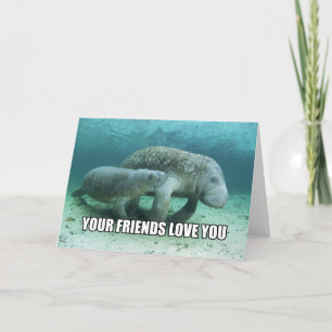 "Your Friends Love You" Calming Manatee Card