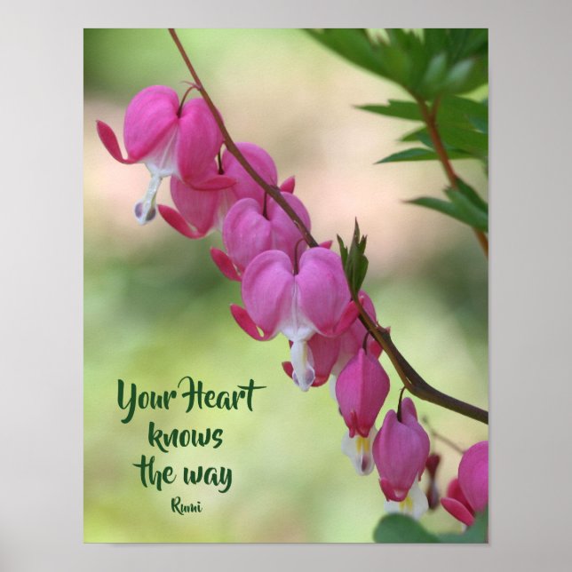 Your Heart Knows Bleeding Hearts Inspirational Poster (Front)