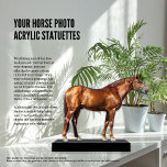 Your Horse Photo Acrylic Statuettes Cutout Standing Photo Sculpture<br><div class="desc">"Your Horse Photo Acrylic Statuettes Cutout" offers a truly unique and personalized way to display your beloved horse! Using one of the many free online tools available, easily remove the background from your photo, and then upload the cutout image to us. We'll take care of the rest, creating a stunning...</div>