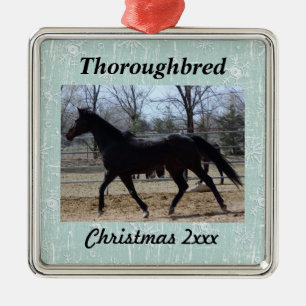 Your Horse Photo with Snowflakes Metal Ornament