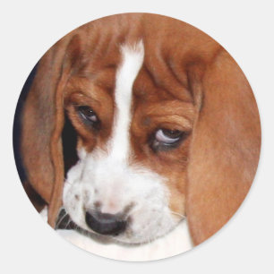 Your Image Here Classic Round Sticker