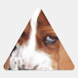 Your Image Here Triangle Sticker