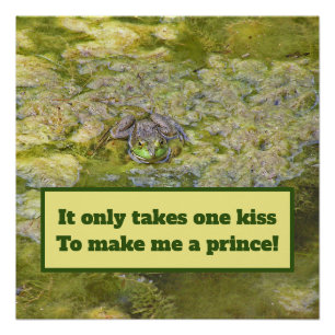 "Your Kiss Will Turn Me Into A Prince"/Frog poster