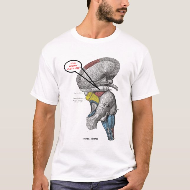 Your Memory Starts Here (Hippocampus Humour) T-Shirt (Front)