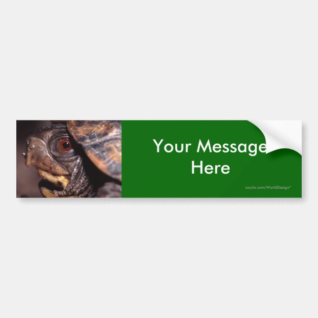 Your Message Bumper Sticker (Front)