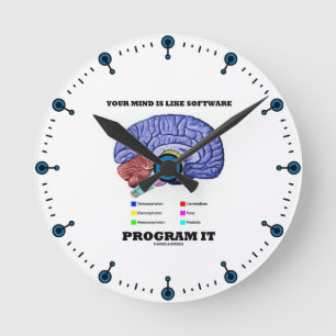 Your Mind Is Like Software Program It (Brain) Round Clock