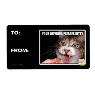 Your Offering Pleases Kitty