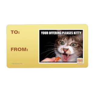 Your Offering Pleases Kitty