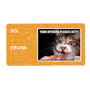Your Offering Pleases Kitty