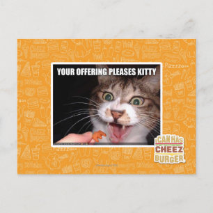 Your Offering Pleases Kitty Postcard