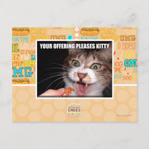 Your Offering Pleases Kitty Postcard