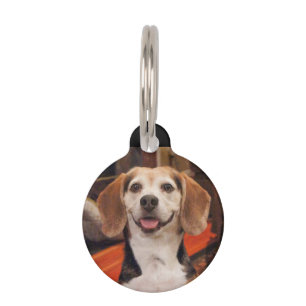 Your Own Pet Photo Mom Misses Me Custom Pet Tag