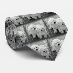 Your Own Photo Neck Tie