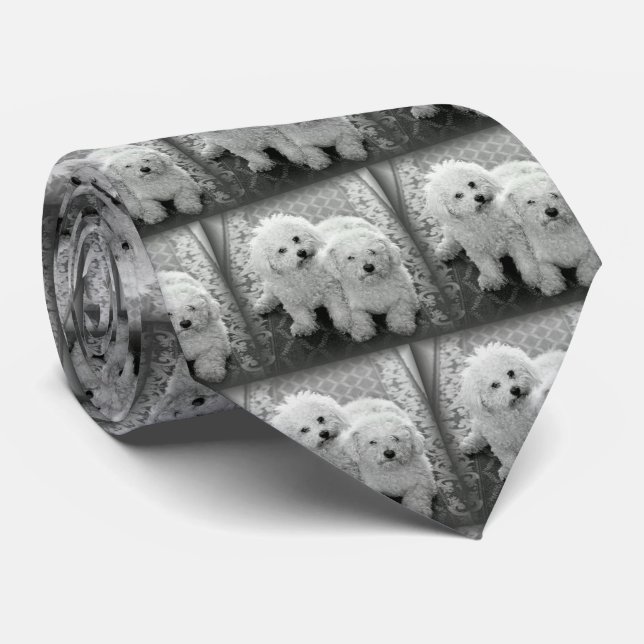 Your Own Photo Neck Tie (Rolled)