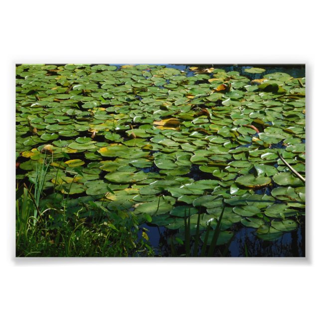 Your Pad Or Mine Photo Print (Front)