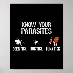 Your Parasites - Deer Tick  Poster