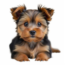 Your Pet Dog Photo Sculpture Cutout 