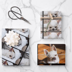 Your pet dog puppy 3 custom photos chihuahua wrapping paper sheet
