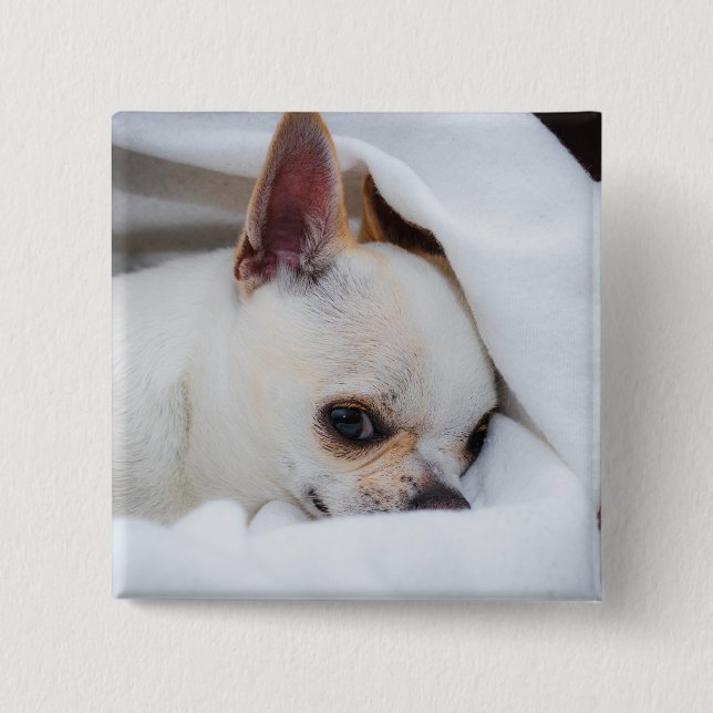Your pet dog puppy custom photo chihuahua 2 inch square button (Front)