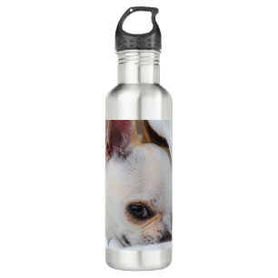 Your pet dog puppy custom photo chihuahua 710 ml water bottle