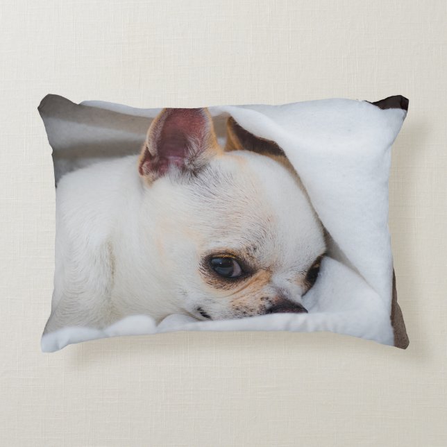 Your pet dog puppy custom photo chihuahua accent pillow (Front)