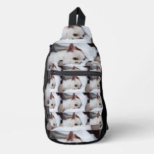 Your pet dog puppy custom photo chihuahua backpack
