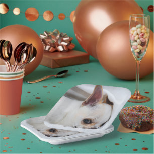 Your pet dog puppy custom photo chihuahua paper plate