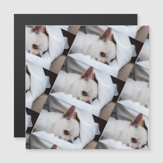 Your pet dog puppy custom photo chihuahua pattern (Front/Back)