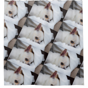 Your pet dog puppy custom photo chihuahua pattern