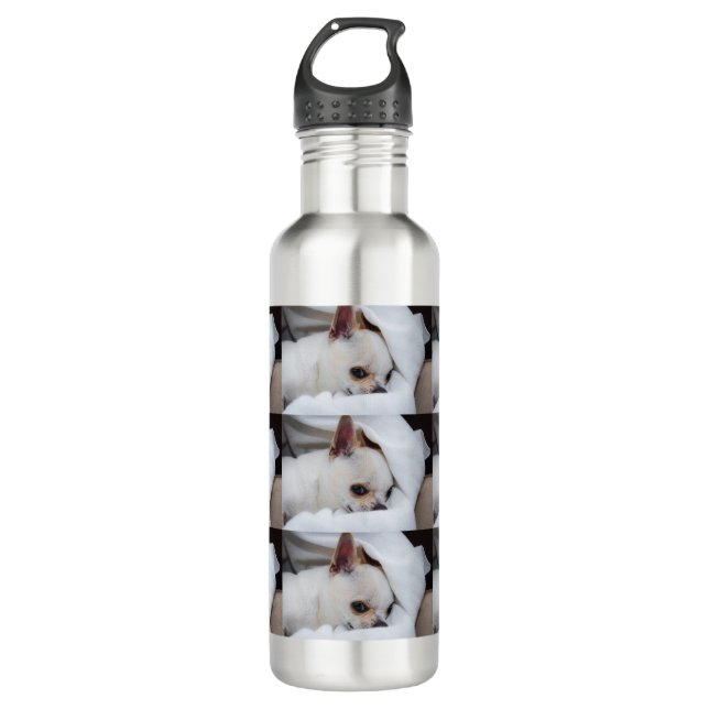 Your pet dog puppy custom photo chihuahua pattern 710 ml water bottle (Front)