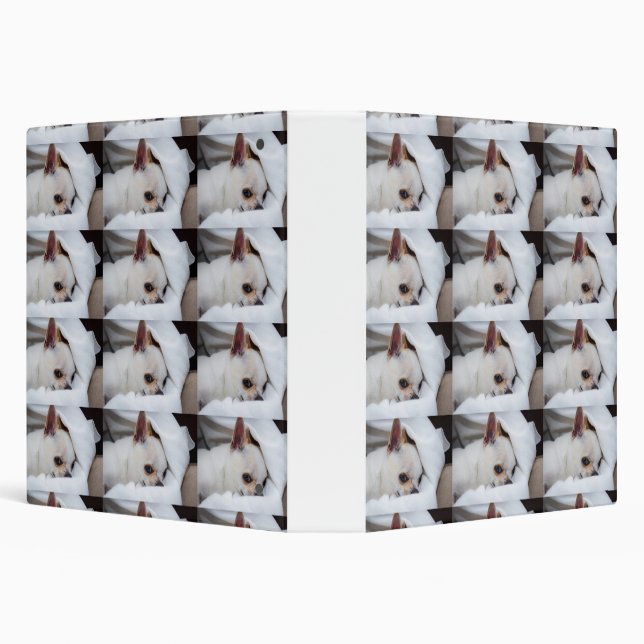 Your pet dog puppy custom photo chihuahua pattern binder (Background)