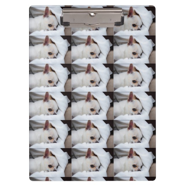 Your pet dog puppy custom photo chihuahua pattern clipboard (Front)
