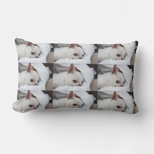 Your pet dog puppy custom photo chihuahua pattern lumbar pillow (Front)