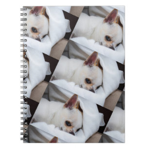 Your pet dog puppy custom photo chihuahua pattern notebook