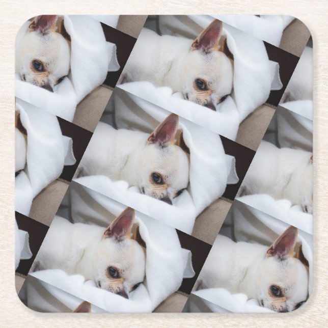 Your pet dog puppy custom photo chihuahua pattern square paper coaster (Front)