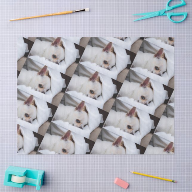Your pet dog puppy custom photo chihuahua pattern tissue paper (Craft)