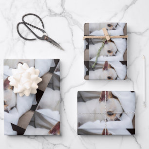 Your pet dog puppy custom photo chihuahua pattern wrapping paper sheet