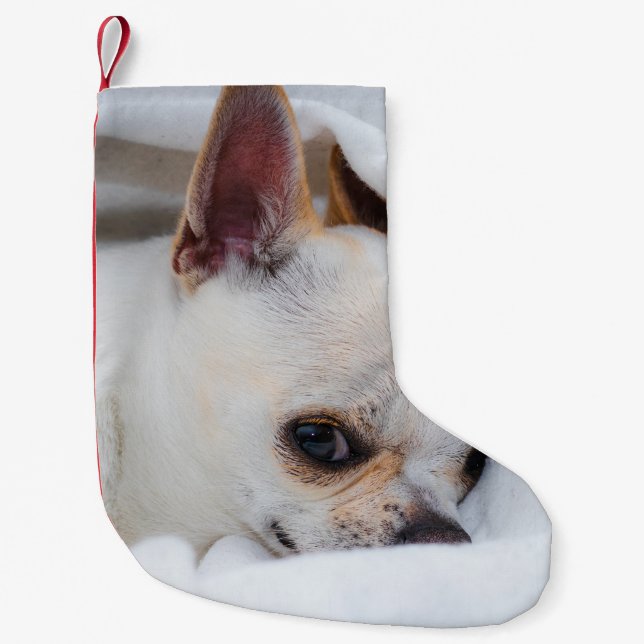 Your pet dog puppy custom photo chihuahua small christmas stocking (Front)
