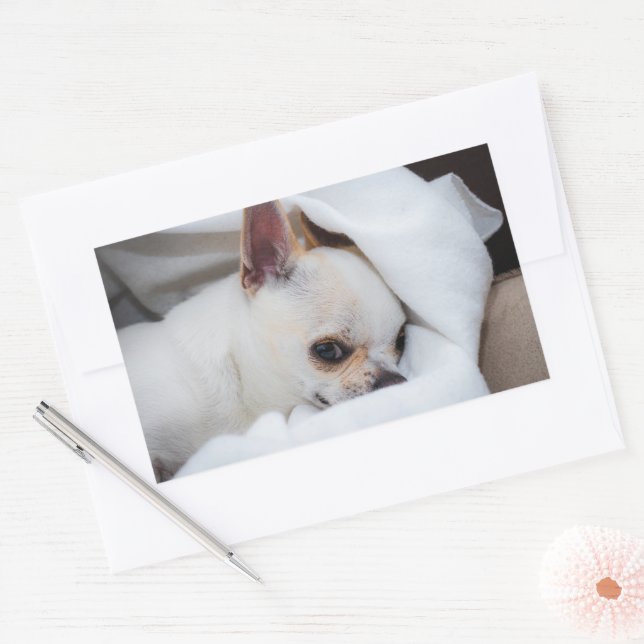 Your pet dog puppy custom photo chihuahua sticker (Envelope)