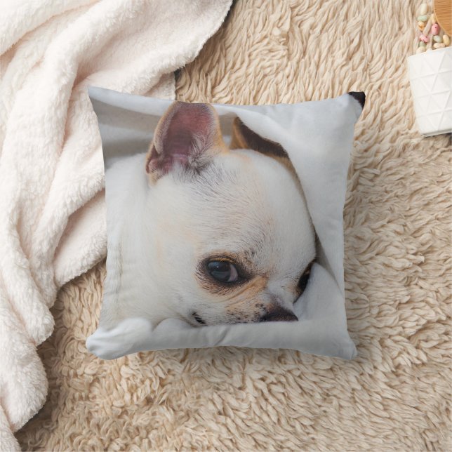Your pet dog puppy custom photo chihuahua throw pillow (Blanket)