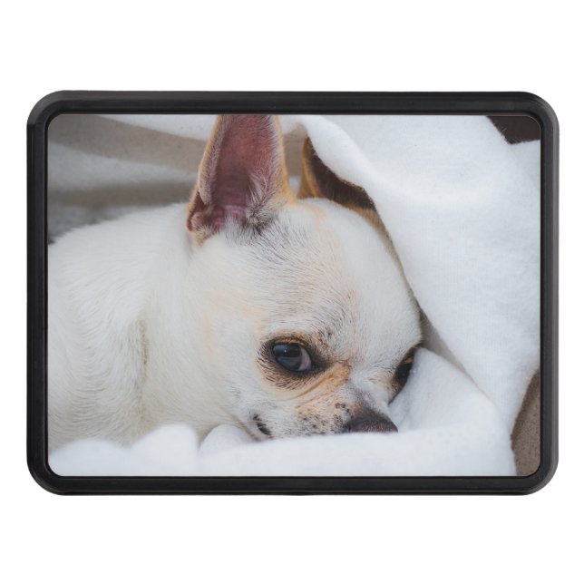 Your pet dog puppy custom photo chihuahua trailer hitch cover (Front)