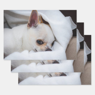 Your pet dog puppy custom photo chihuahua wrapping paper sheet