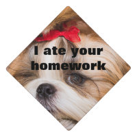 Your pet dog puppy photo gift I ate your homework