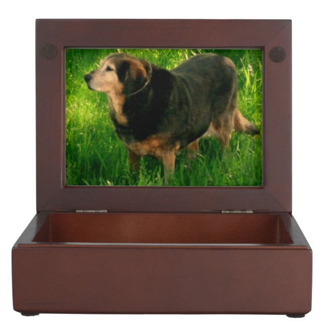 Your pet memory keepsake box add your pet photos (Opened)