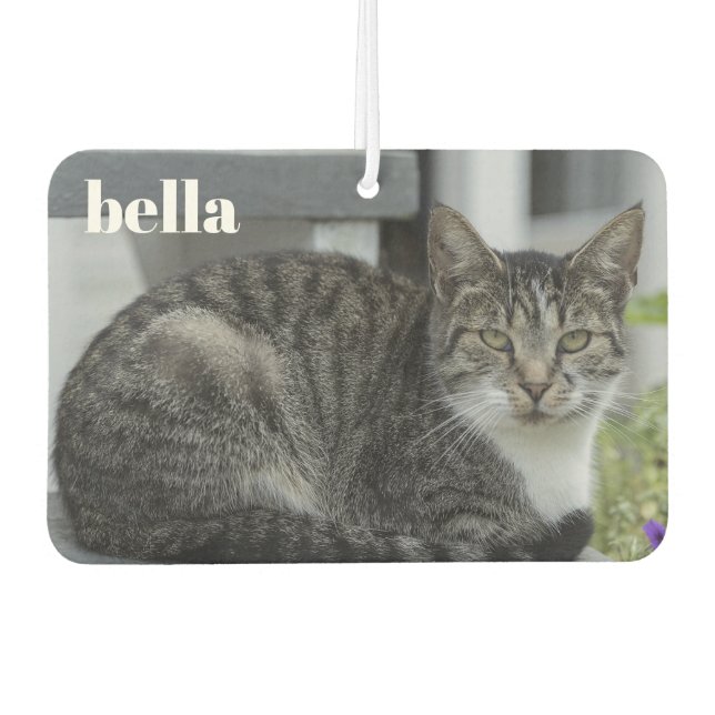 Your Pet Name and Cat Photo Template Air Freshener (Front)
