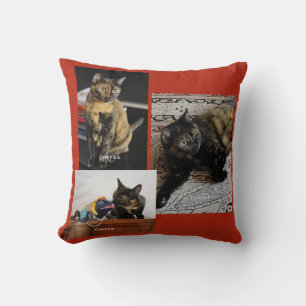 Your Pet or Pets 3 Photos, 3 Names, Red Background Throw Pillow