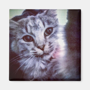 Your Pet Personalized Magnet