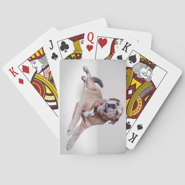 Your pet photo on playing cards (Back)