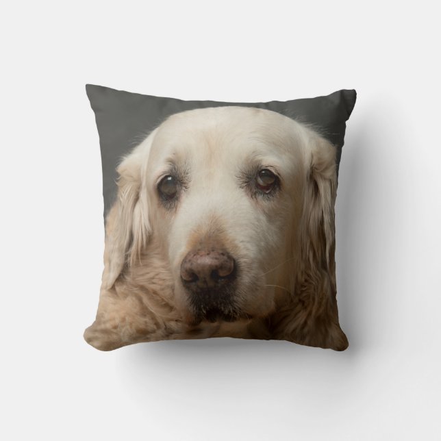 Your Pet Photo Personalized Reversible Throw Pillow (Front)