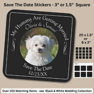 Your Pet Photo, Save The Date, Black & White  Square Sticker